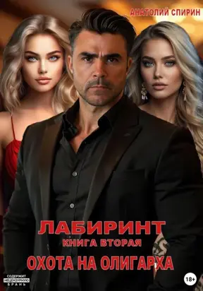 Лабиринт. Книга вторая. Охота на олигарха