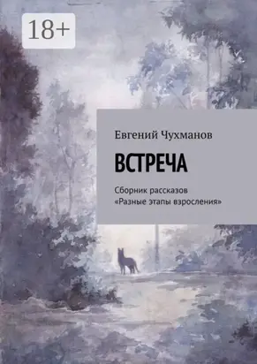 Встреча. Сборник рассказов «Разные этапы взросления»