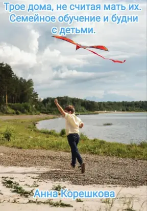 Трое дома, не считая мать их. Семейное обучение и будни с детьми