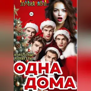 Одна дома. Новогодние каникулы