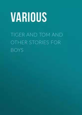 Tiger and Tom and Other Stories for Boys