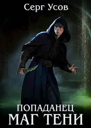 Попаданец. Маг Тени. Книга 6