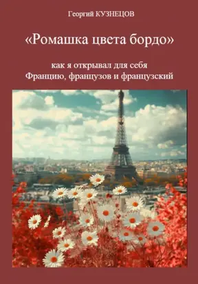 Ромашка цвета бордо