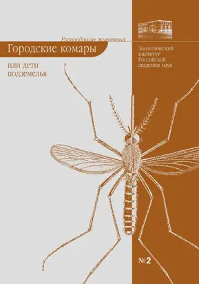 Городские комары, или «Дети подземелья»