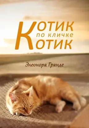 Котик по кличке Котик