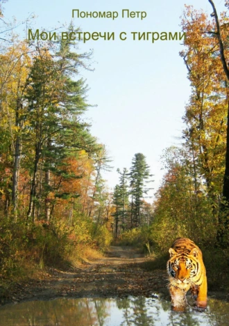 Мои встречи с тиграми