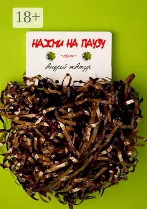 Нажми на паузу. Песни