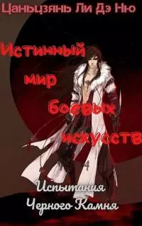 Испытания Черного Камня [ЛП]