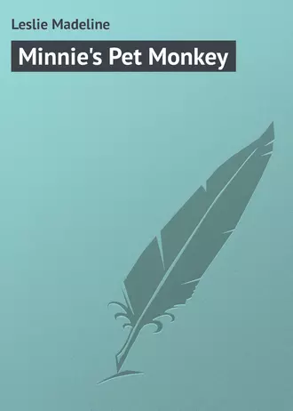 Minnie's Pet Monkey