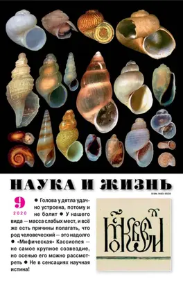 Наука и жизнь №09/2020
