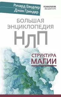 Большая энциклопедия НЛП. Структура магии [litres]