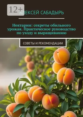 Нектарин: секреты обильного урожая. Практическое руководство по уходу и выращиванию. Советы и рекомендации