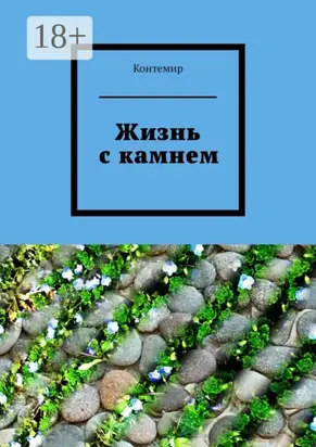 Жизнь с камнем
