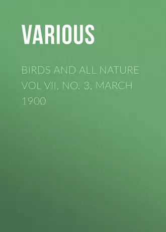 Birds and all Nature Vol VII, No. 3, March 1900