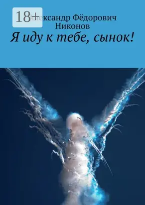 Я иду к тебе, сынок!