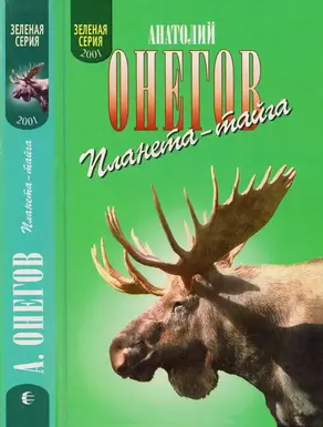 Я живу в заонежской тайге. В медвежьем краю