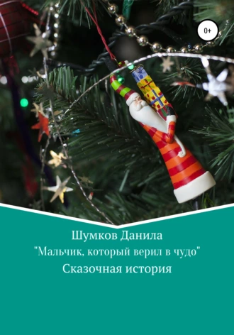 Мальчик, который верил в чудо