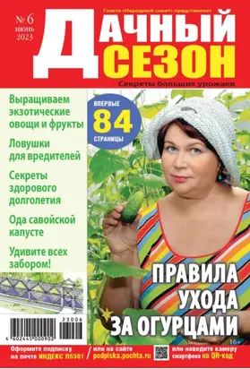 Дачный сезон №06/2023