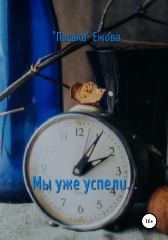 Мы уже успели…