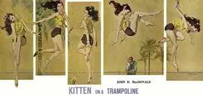 Kitten on a Trampoline [story]