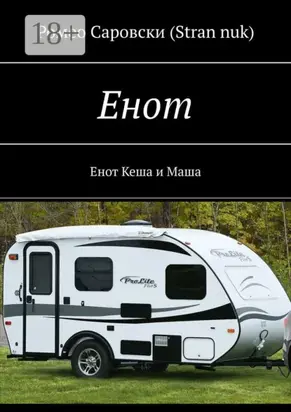 Енот. Енот Кеша и Маша