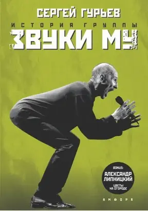 История группы «Звуки Му»