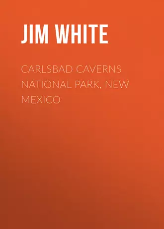 Carlsbad Caverns National Park, New Mexico