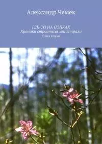 Где-то на сопках. Хроники строителя магистрали. Книга 2