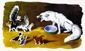 Серебряный лис