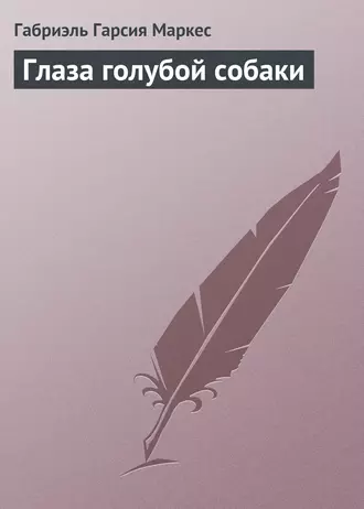 Глаза голубой собаки