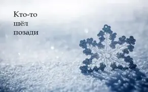 Кто-то шел позади