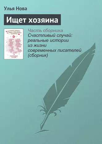 Ищет хозяина