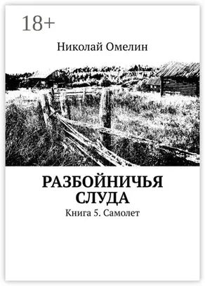 Разбойничья Слуда. Книга 5. Самолет