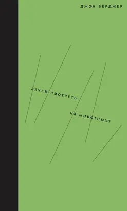 Зачем смотреть на животных?