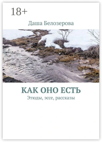 Как оно есть. Этюды, эссе, рассказы