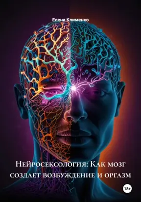 Нейросексология: Как мозг создает возбуждение и оргазм