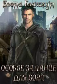 Особое задание для вора [СИ]