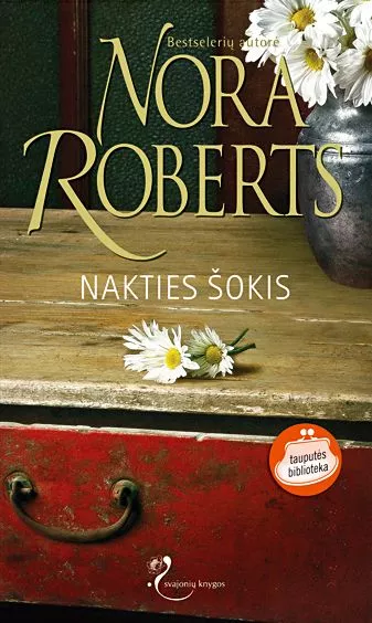 Nakties sokis