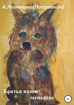 Братья наши меньшие