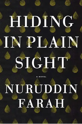 Hiding in Plain Sight