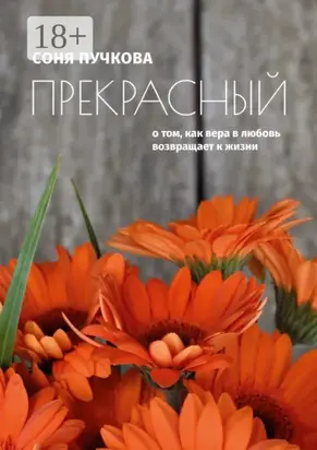 Прекрасный. О том, как вера в любовь возвращает к жизни