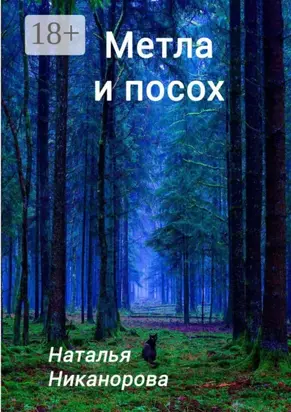 Метла и посох