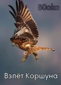 Взлёт Коршуна [AT]