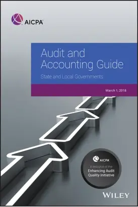 Audit and Accounting Guide