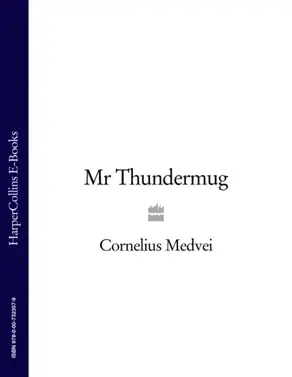 Mr Thundermug