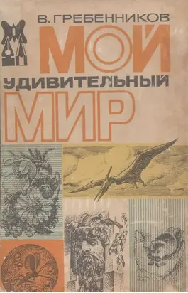 Мой удивительный мир