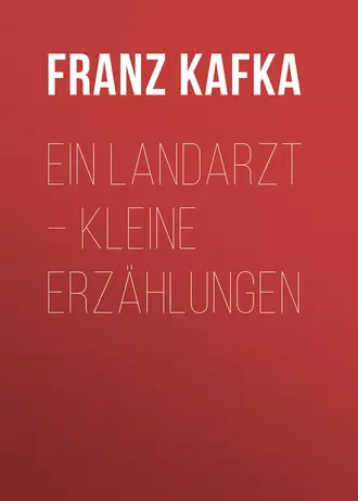 Ein Landarzt – Kleine Erzählungen