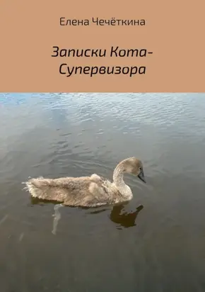 Записки Кота-Супервизора