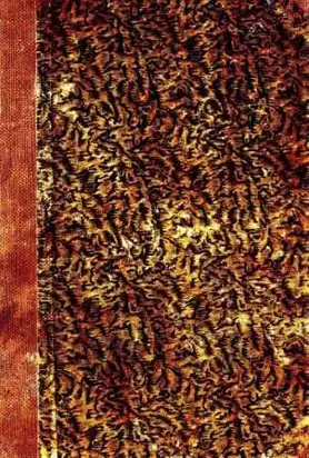 Vedējs. Izstumtais.(Kopoti raksti 4)