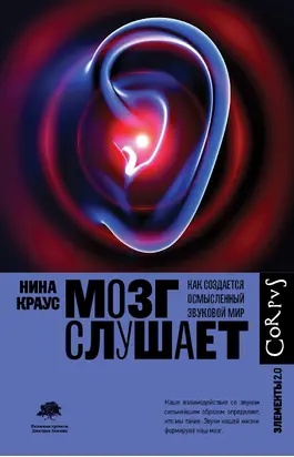 Мозг слушает. Как создается осмысленный звуковой мир